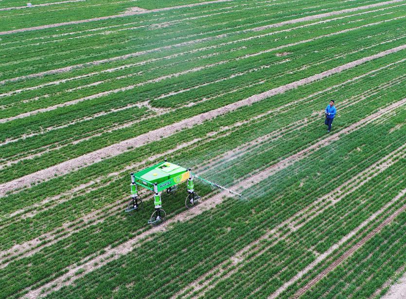 农业的发展前景如何,农业的前景和发展方向