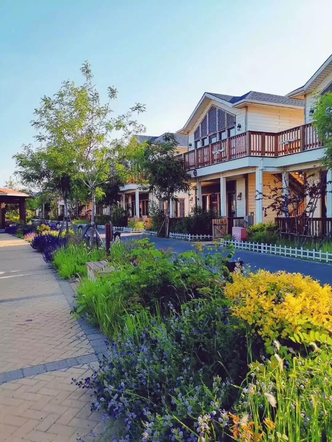 月圆中秋|来月坨岛度过难忘的中秋佳节吧！