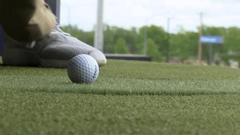 澳大利亚黄金海岸主题公园,澳洲黄金海岸旅游景点