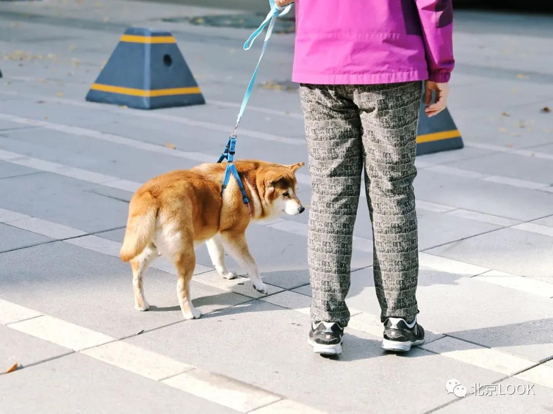 如今的三里屯,最新三里屯