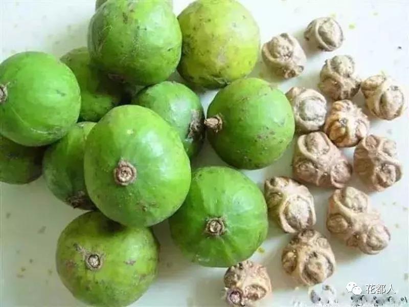 中国有几种奇异水果,好吃的奇特的水果有哪些