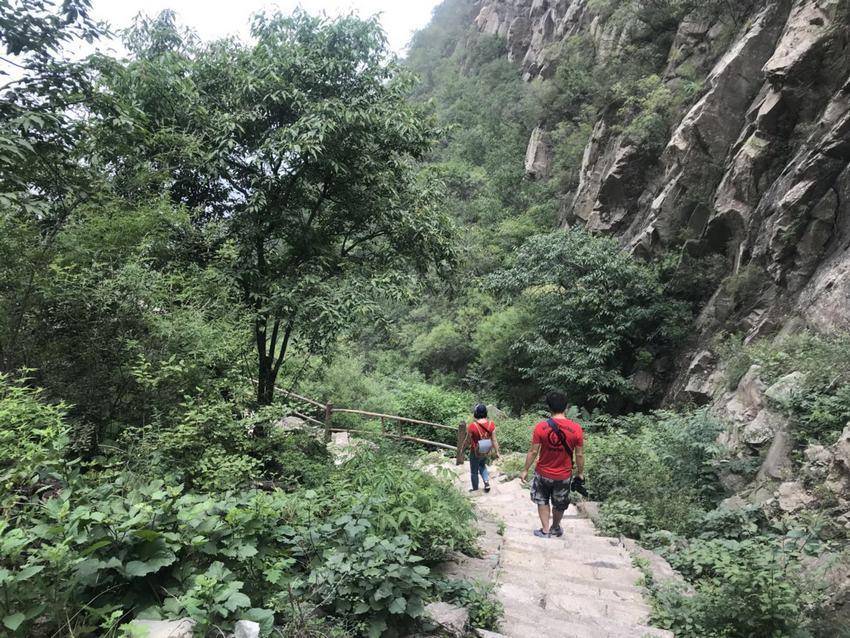 海德力香草奶昔蛋白粉,海德力乳清蛋白巧克力奶昔