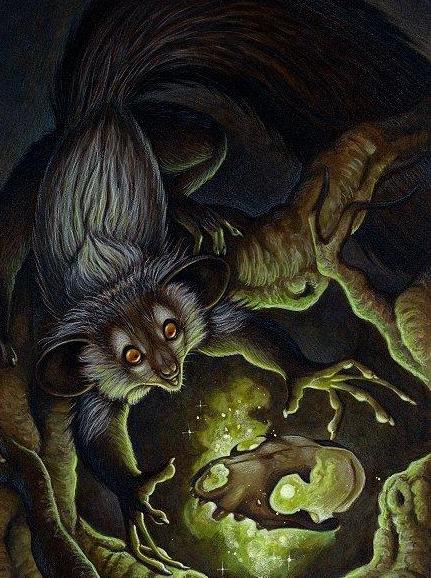 马岛猴子视频大全,马岛最厉害的动物