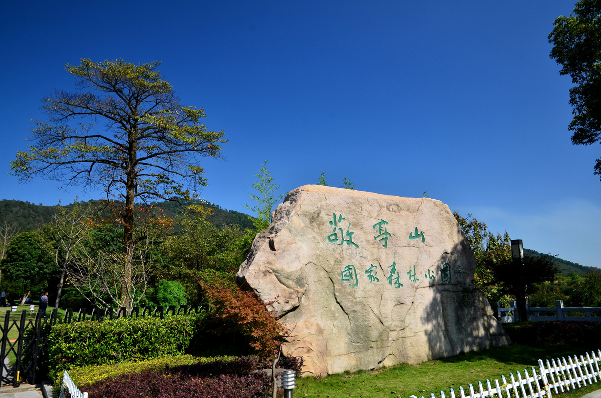 李白孤独的一首诗整篇都是经典,李白写下了这首酸味十足的诗
