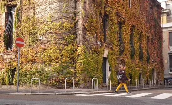 这些秘密你都知道吗,这些秘密你们都知道了吗