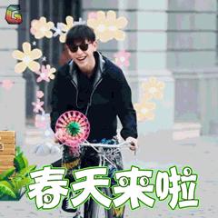 天津赏花好玩的公园,天津东丽湖哪里可以赏花