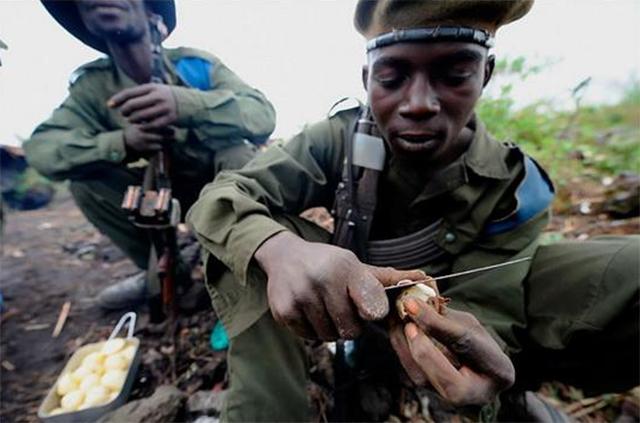 被上帝遗忘战争中的生存与死亡,被上帝遗忘的国家