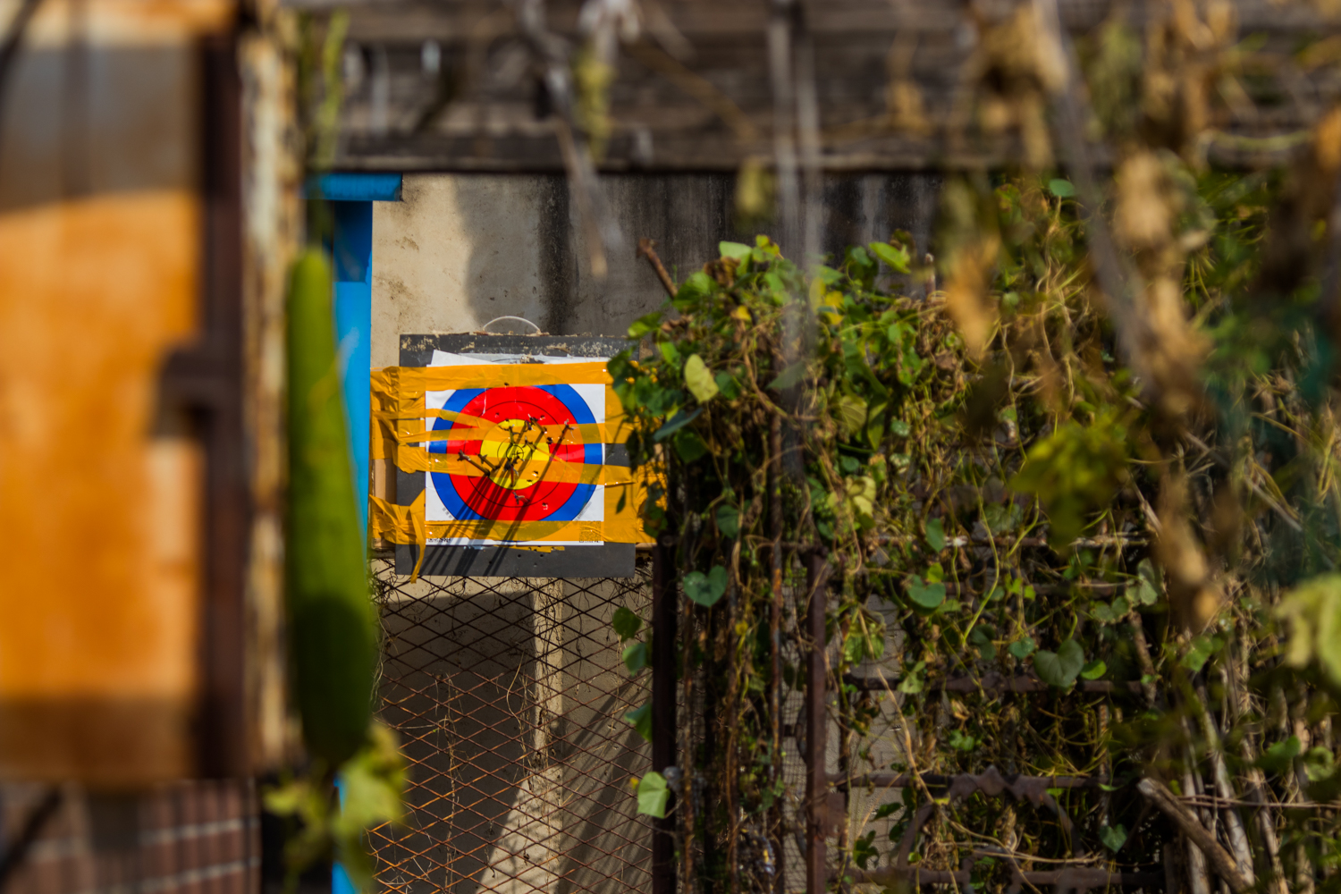 现代复合弓射程,现代合金复合弓的威力