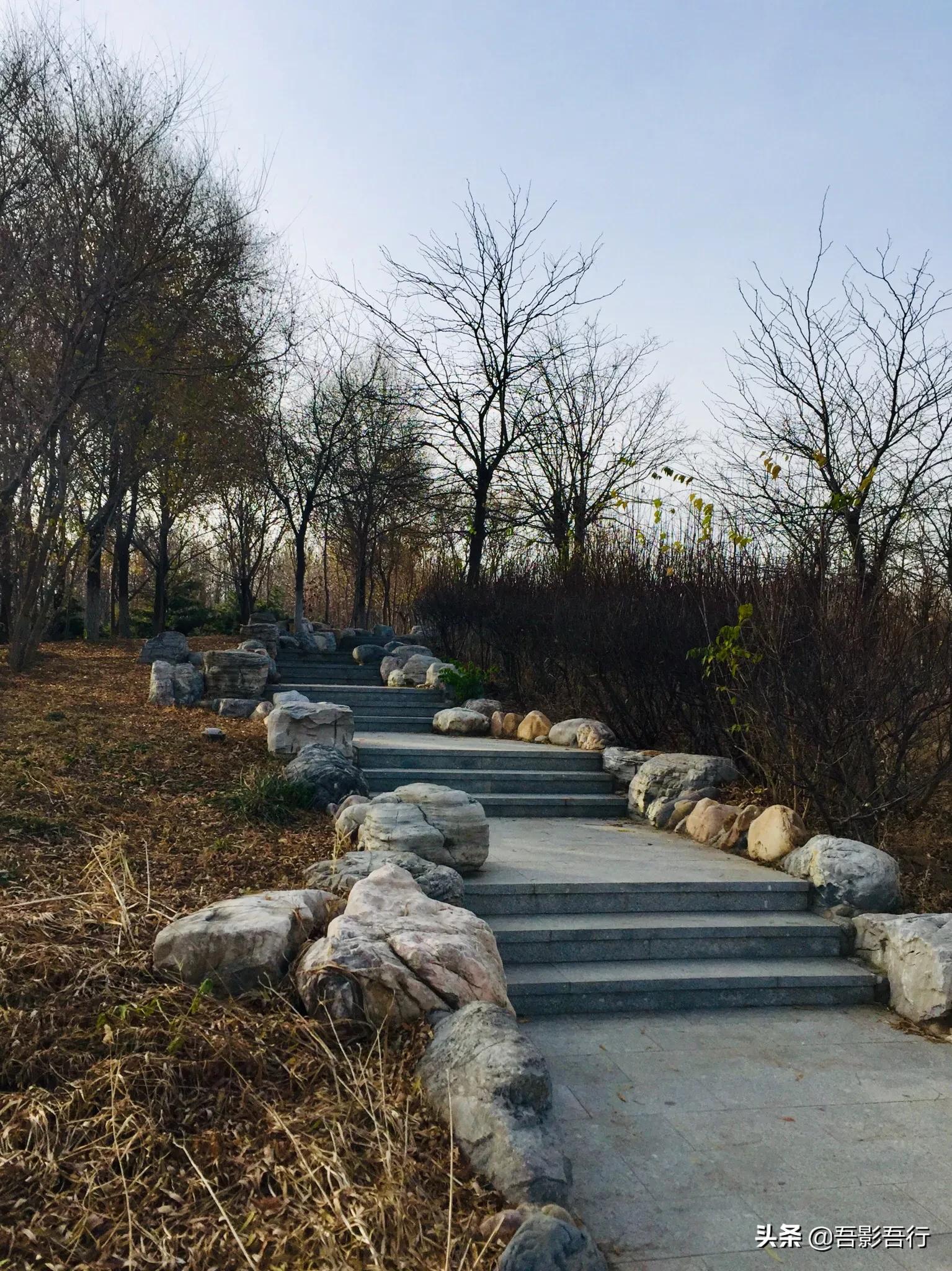 武清津北森林公园有哪些景色,天津武清森林公园开放时间表