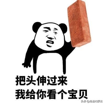 蒙古草原骑马旅游,去草原第一次骑马关注什么