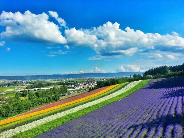 北海道旅游一周费用多少,北海道自由行费用明细