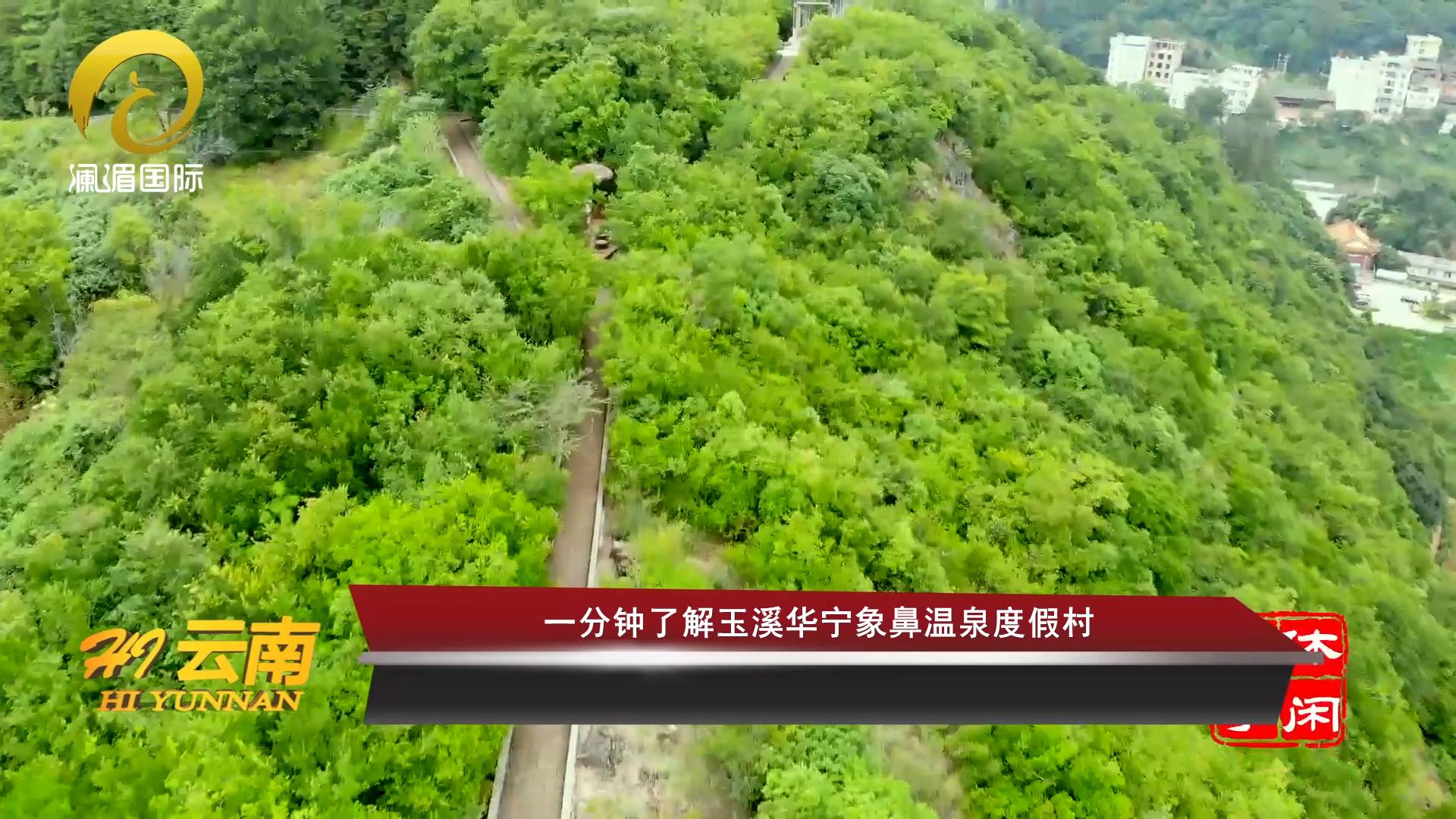 玉溪华宁象鼻森林温泉价格,华宁象鼻温泉度假村酒店