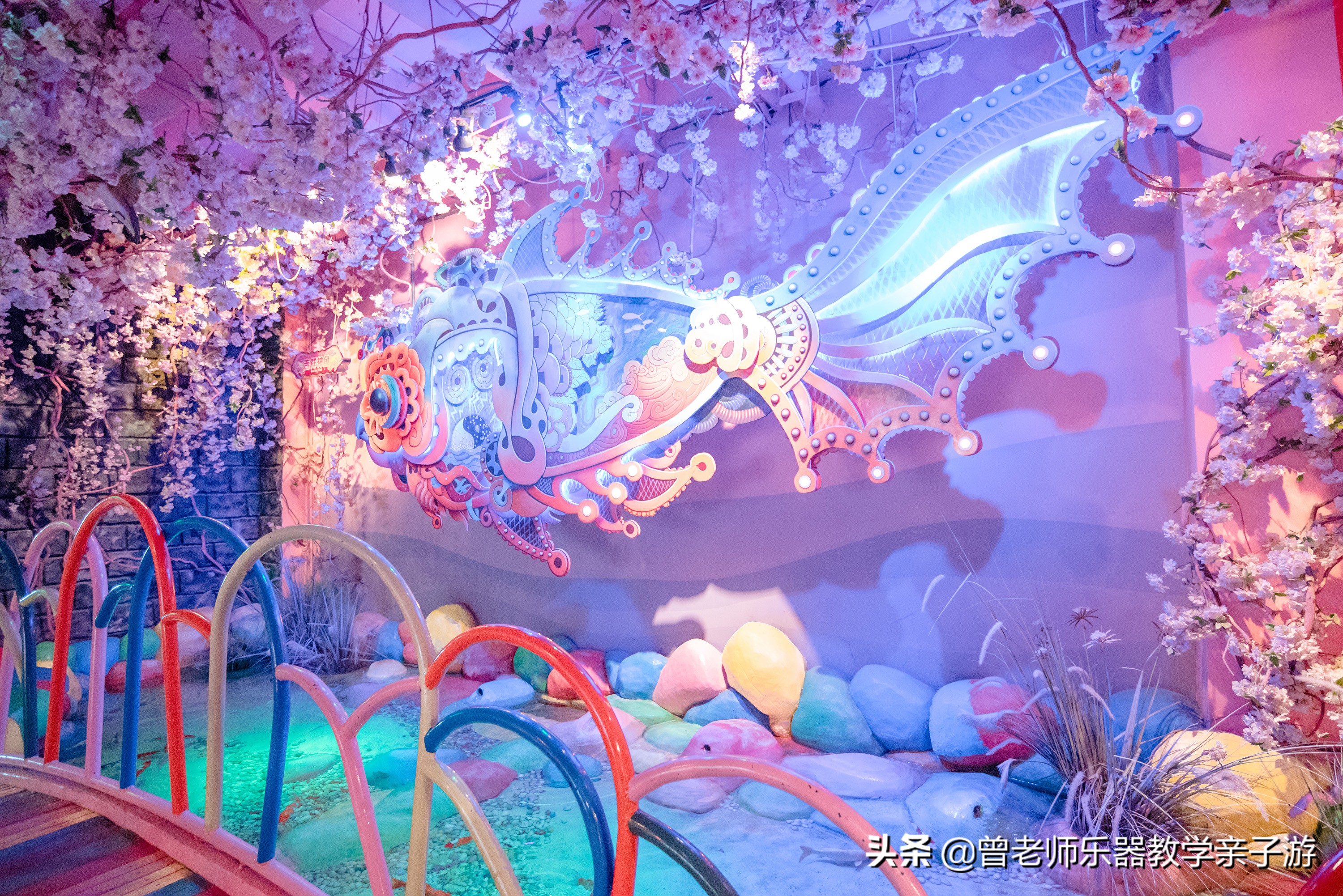西安太奥海洋馆,西安极地海洋世界海豚表演