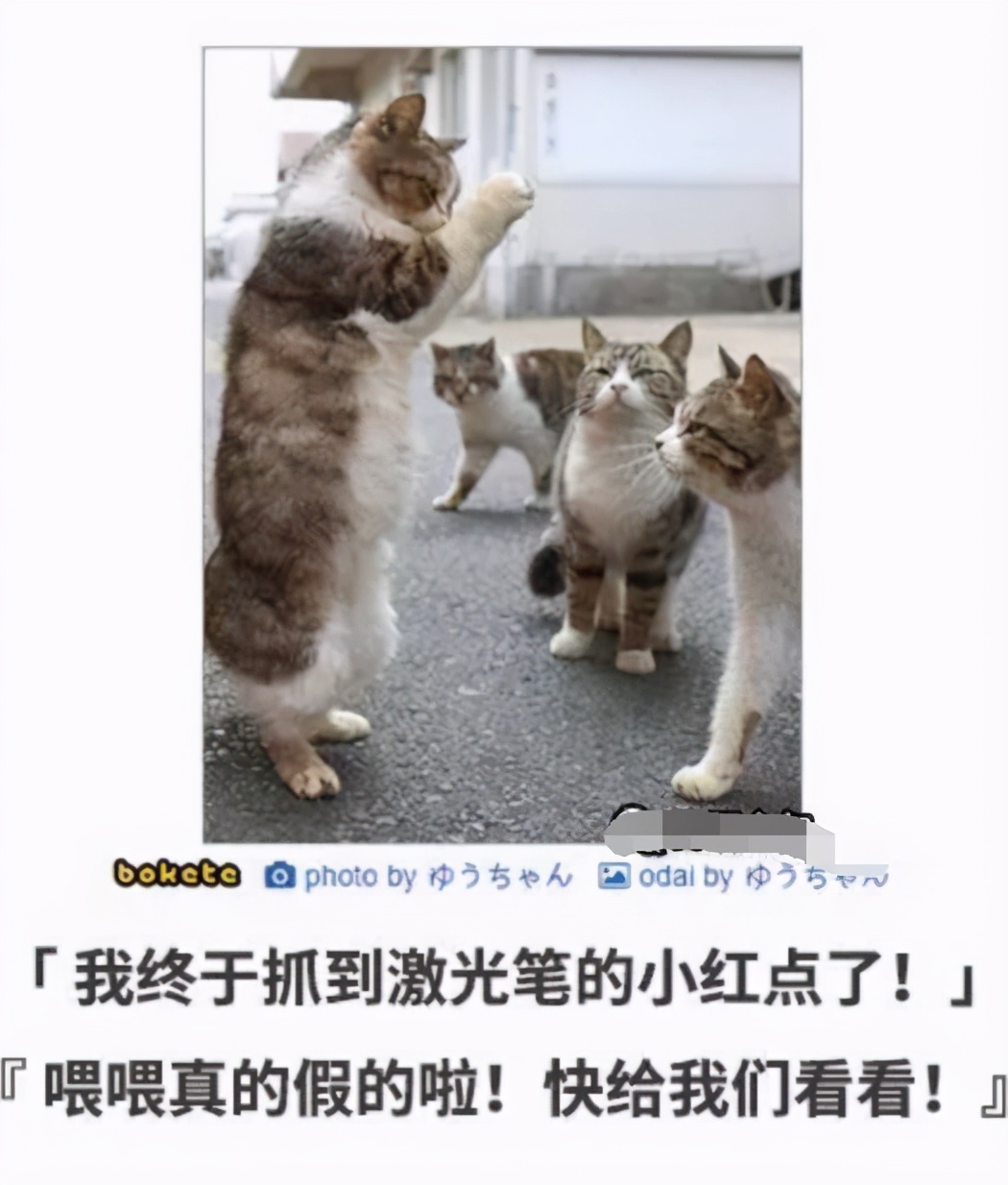 赌100袋辣条,赌十包辣条