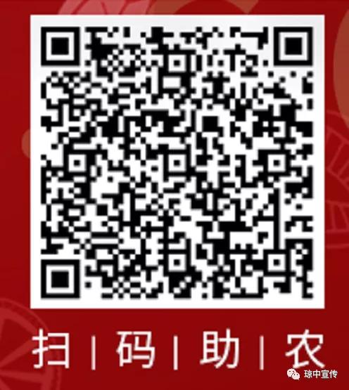 琼中女足最新比赛消息直播,琼中女足最新直播