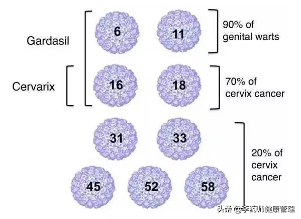 宫颈癌疫苗如何判断是否有效,宫颈癌疫苗怎样查询接种信息