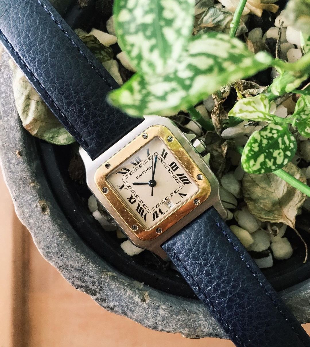 黛安娜用什么圣遗物,黛安娜遗物