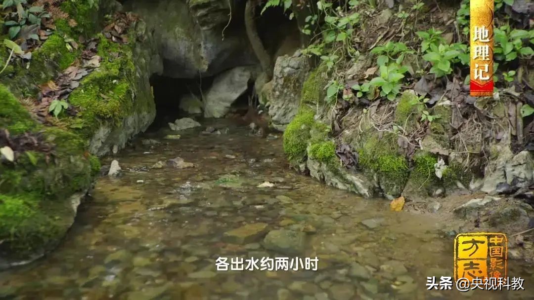 影像方志天峻,中国影像方志四川大竹篇