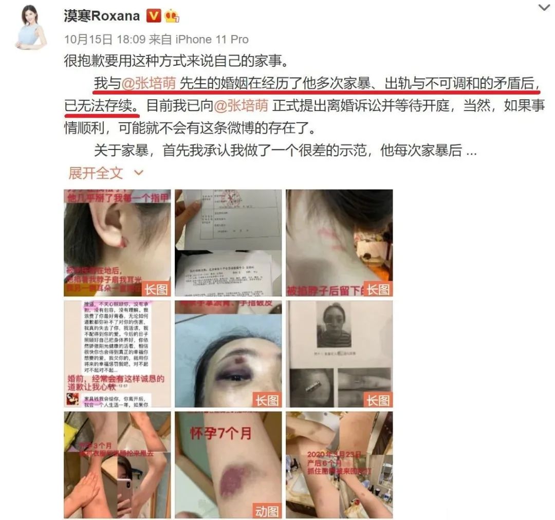 世界冠军家暴妻子,世界冠军女子拳击手被家暴