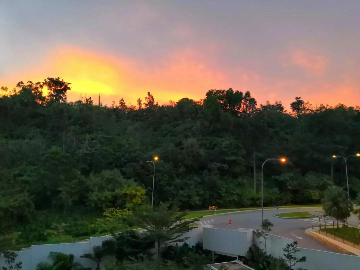 sophie留学日记,sophia的伦敦留学日记