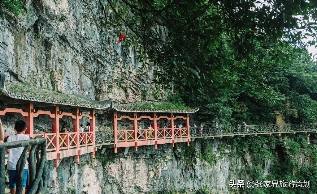 自由行张家界吃住旅游攻略,张家界旅游自由行详细攻略