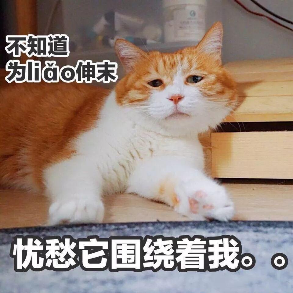 好用大牌护手霜香水味持久超香,最好用的16款护手霜