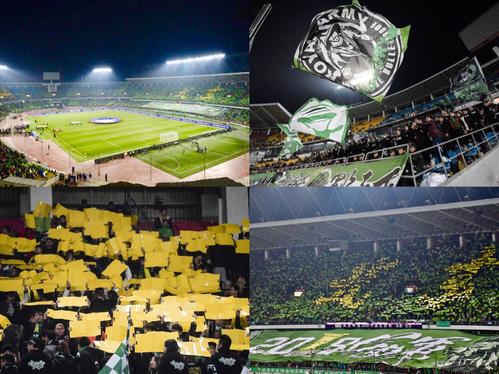 足球场上让人惊叹的操作,讲解足球运动的视频