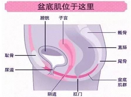 分娩时内壁损伤原因,女性分娩后带来的后遗症
