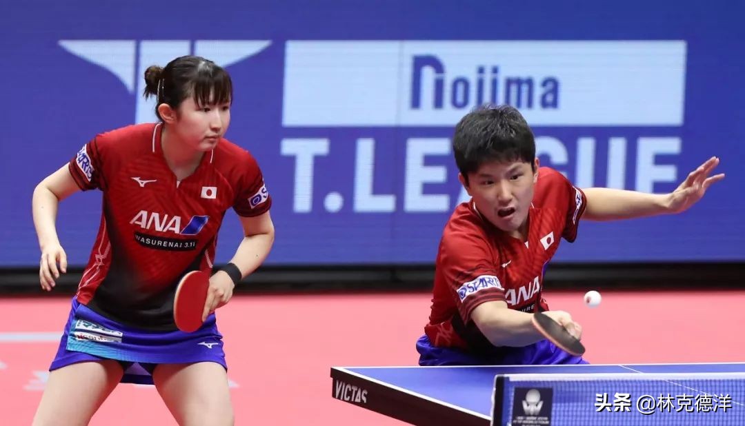 体育直播跳水电视台,体育频道最新跳水直播现场