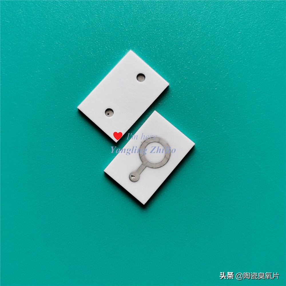 臭氧发生片的结构图,臭氧片臭氧发生器