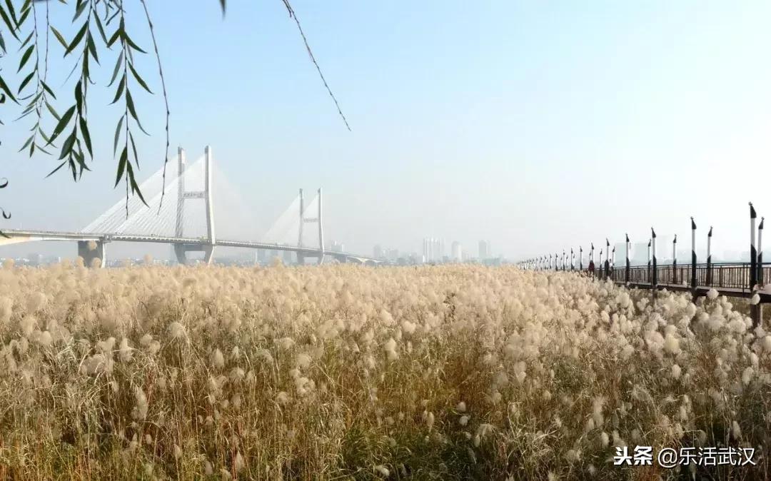 武汉新春过年坐地铁打卡攻略,来武汉一定要做的50件小事