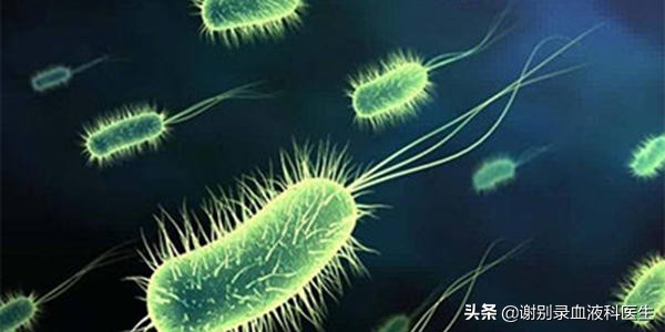 谢别录治疗白血病,谢别录治疗血液病效果怎么样