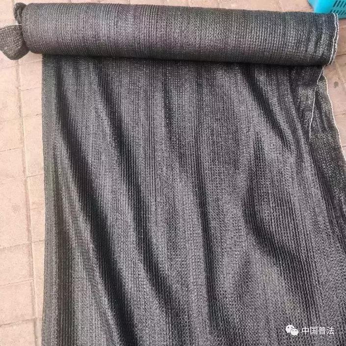 2019年中国水怪之谜,长江水怪之谜视频