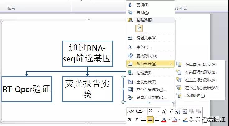 word技术路线图怎么画,word怎么绘制技术路线图详细