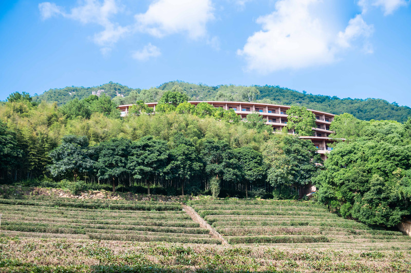 中国足球旅游胜地,足球旅游胜地上海