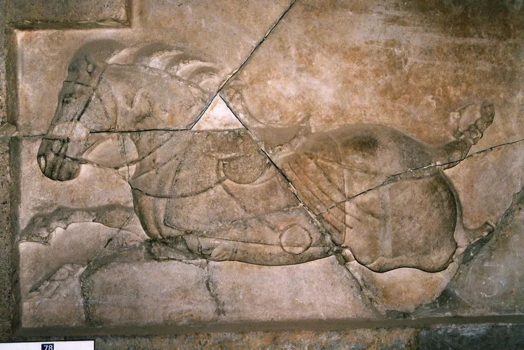 西安文化之旅旅游攻略,去西安玩应该关注什么