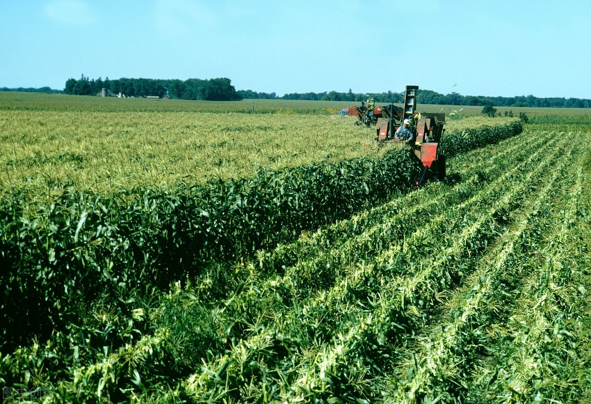 江西南昌50亿元以上项目清单,南昌21个重大项目投产