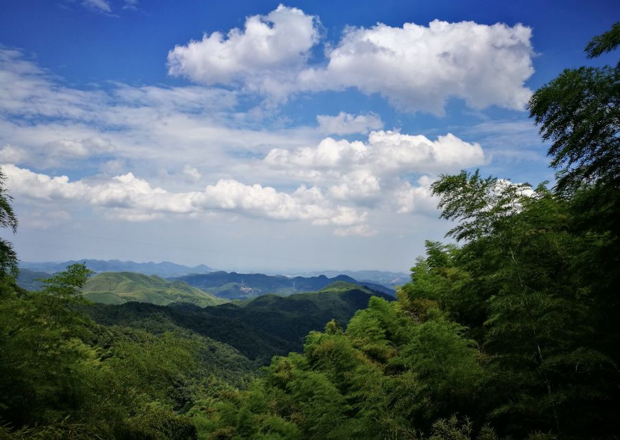 莫干山别具特色的3家民宿,莫干山景点民宿