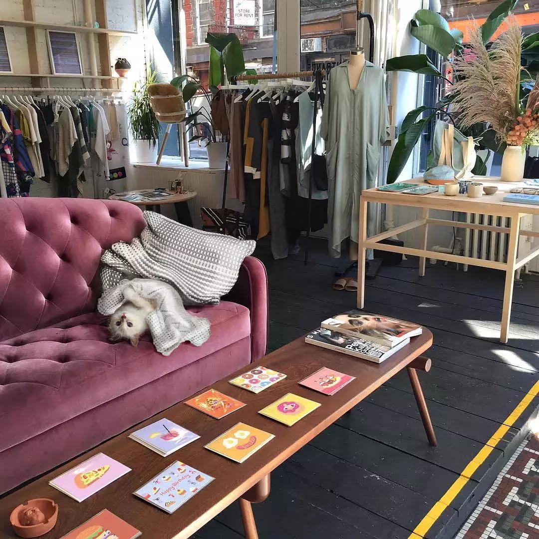 老佛爷去世，他那只年挣300万欧元的猫将继承他的遗产？！