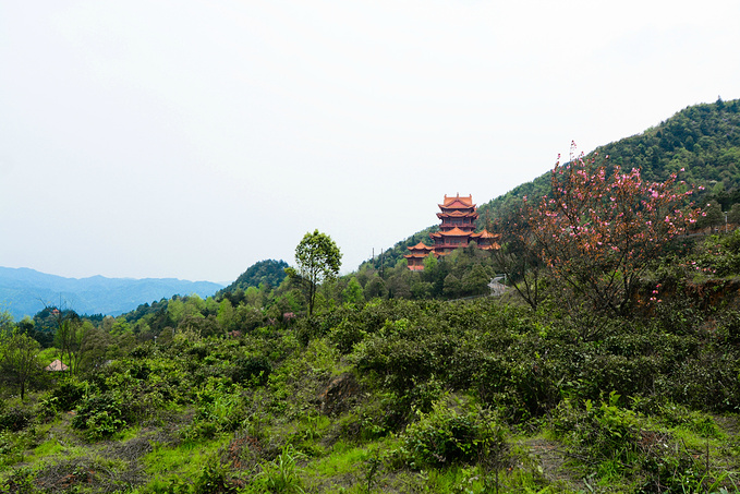 疫情对湖南这里居然丝毫没有影响！0病发，还超级适合徒步旅行！