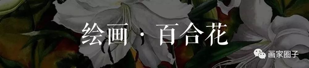 100种漂亮花卉图片,100张漂亮花图