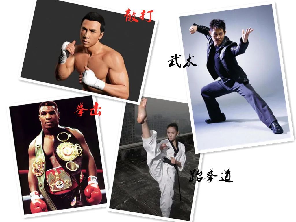 搏击跆拳道散打哪个适合孩子,搏击散打跆拳道学哪个好