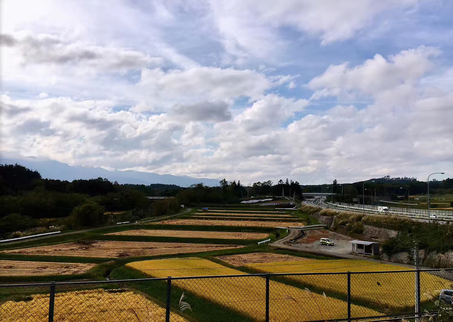 东京日本本土气息,日本除了东京其他城市怎么样