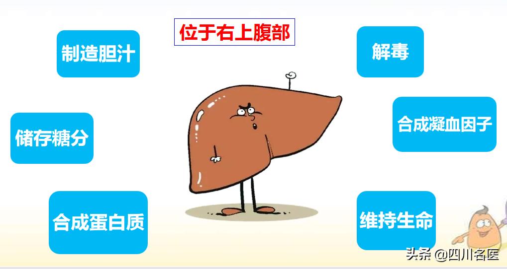 远离肝炎的十个方法,成都华西医院肝炎科唐红教授电话