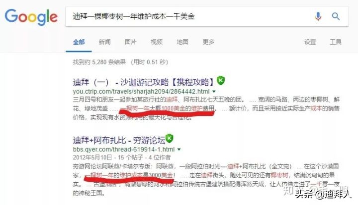 迪拜种植一棵树的成本,在迪拜种一棵树一年的成本