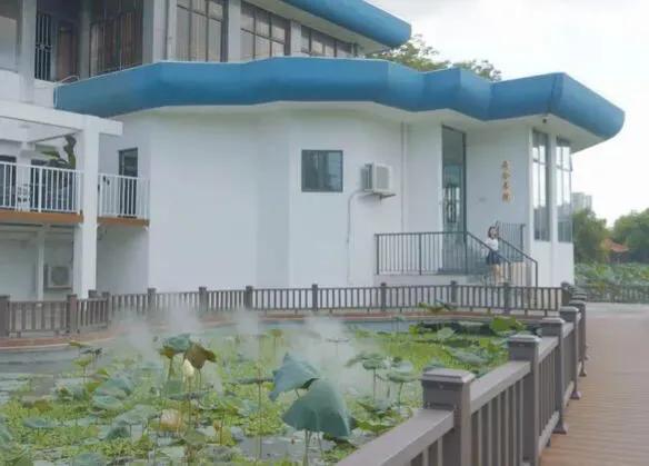 湖泊风景区推荐,深圳十大免费主题公园
