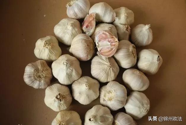 辽宁中国特色农产品优势区名单,辽宁特色农产品品牌有哪些