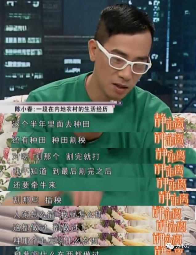 陈小春是不是客家人,陈小春是视帝吗