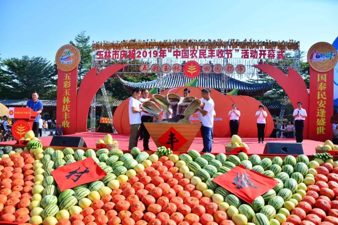 中农富玉大事记,中农富玉未来发展趋势