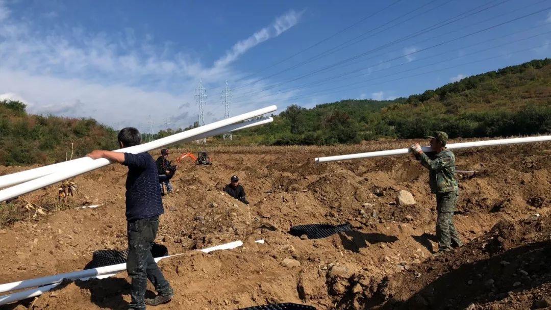 碧桂园扶贫农业发展,碧桂园助力精准脱贫攻坚战